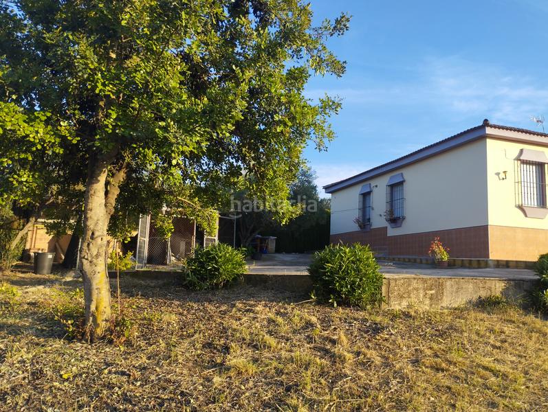 Foto 119b096b-6d9e-4449-84b8-e579e45fcf75. Masía casa de campo en entrepinos, . huelva. en Hinojos