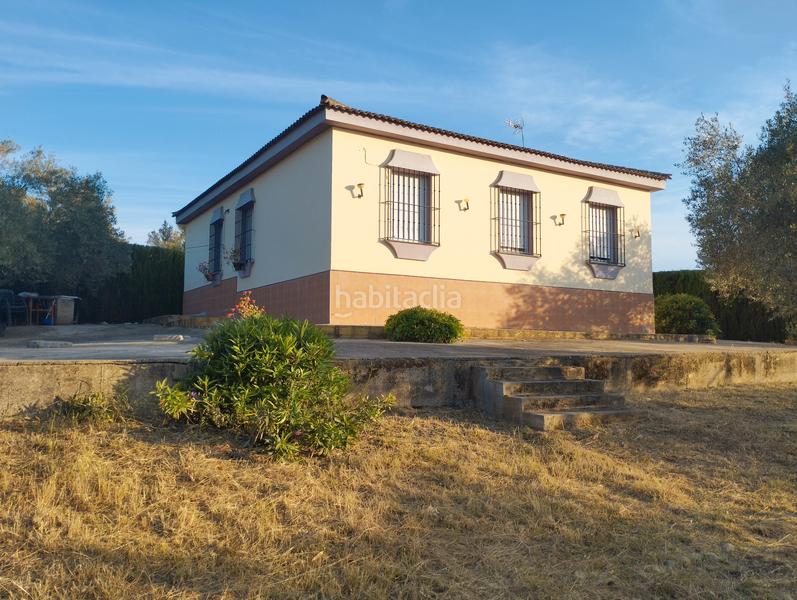 Foto 1fb7eafe-07f9-481a-a9ec-c341dc7118af. Masía casa de campo en entrepinos, . huelva. en Hinojos