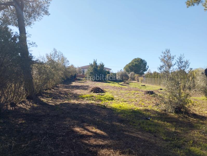 Foto 3c2acd6a-22c7-4db7-bfc3-4be79f8795f4. Masía casa de campo en entrepinos, . huelva. en Hinojos