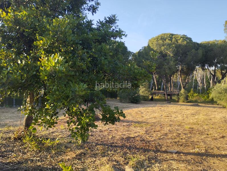 Foto 5a1fbe0e-1aff-4b48-9955-64efa683ff1a. Masía casa de campo en entrepinos, . huelva. en Hinojos