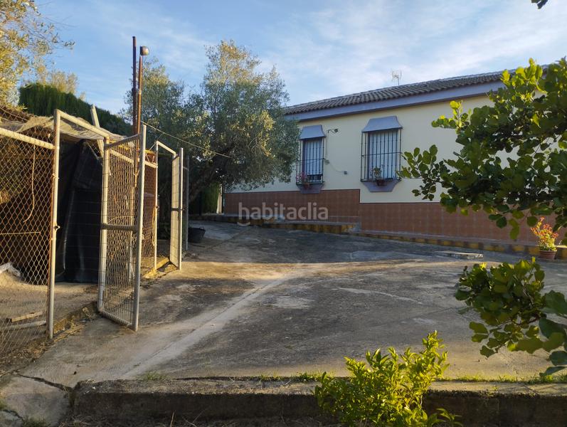 Foto be42c221-f06a-49a8-ba53-c9b20cff3a9c. Masía casa de campo en entrepinos, . huelva. en Hinojos
