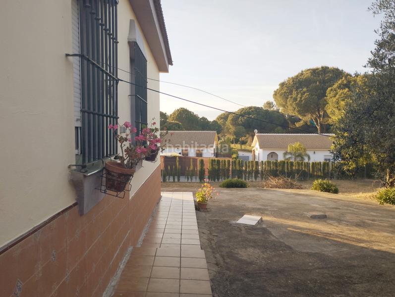 Foto edf02f22-d57c-453d-9a0e-930f468c93cb. Masía casa de campo en entrepinos, . huelva. en Hinojos