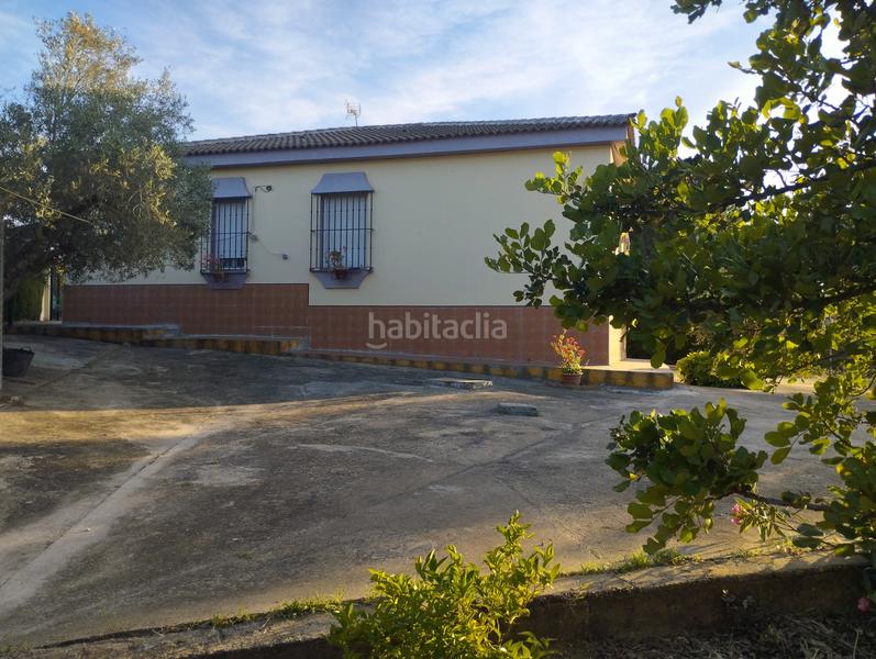 Foto f6563168-282d-44af-b103-8408e8167b51. Masía casa de campo en entrepinos, . huelva. en Hinojos