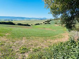 Finca rústica  Arcos de la frontera. Terreno en venta a solo 3 kilómetros del arcos garden golf club