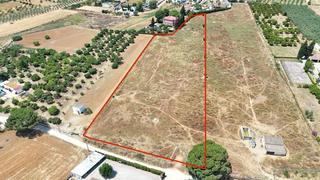 Finca rústica  Carretera de sanlucar olivares. Terreno rustico con posibilidad de construir