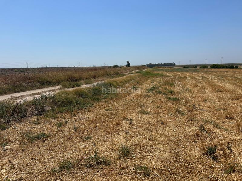 Foto c9ea678f-4924-4536-9f39-00542c0a8196. Terreno residencial terreno rústico en Pedanías Norte Utrera