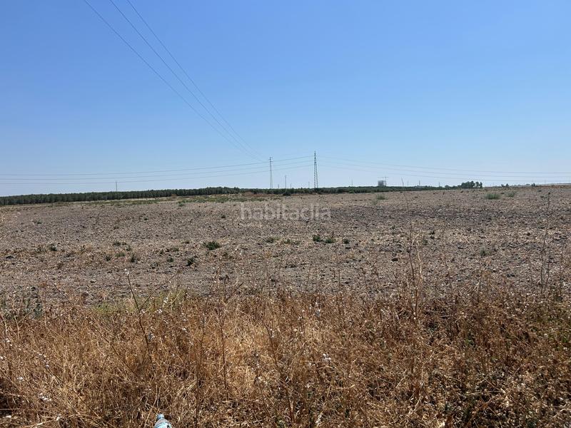 Foto cddba7dc-60c3-43e3-b765-2dbe65861efb. Terreno residencial terreno rústico en Pedanías Norte Utrera