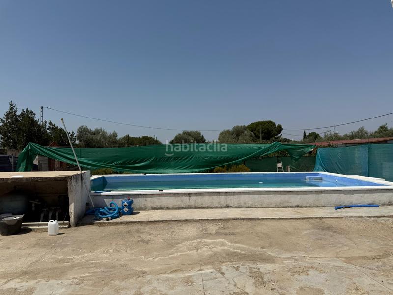 Foto d0c9c40c-3944-419d-b187-3aba548057e5. Mas avec parking piscine dans Pedanías Norte Utrera
