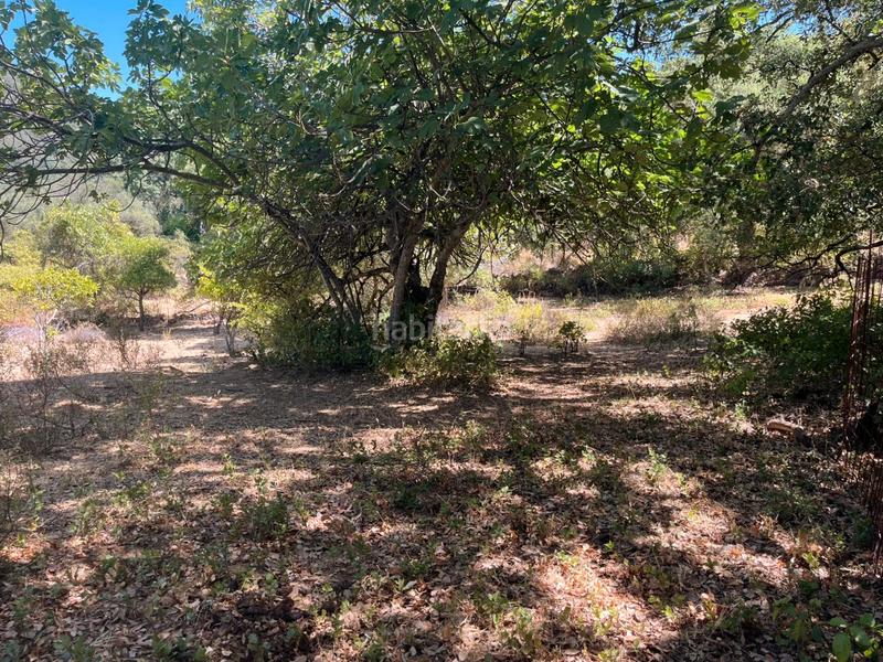 Foto 07a0d906-461d-401b-8432-7a2999baff24. Finca rústica a Linares de la Sierra