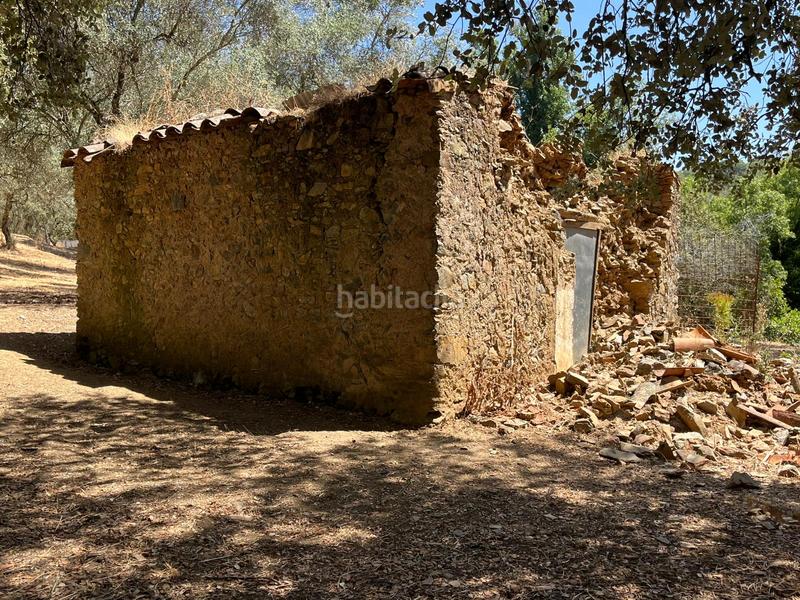 Foto 3a1c0e43-4295-4d9f-81a0-a096d1bc1fd9. Finca rústica a Linares de la Sierra