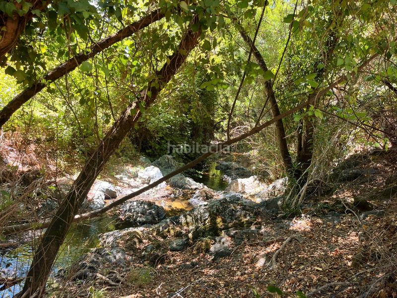 Foto 3ba0a7b5-9057-49a2-a9a4-9c4a63c96e55. Finca rústica a Linares de la Sierra