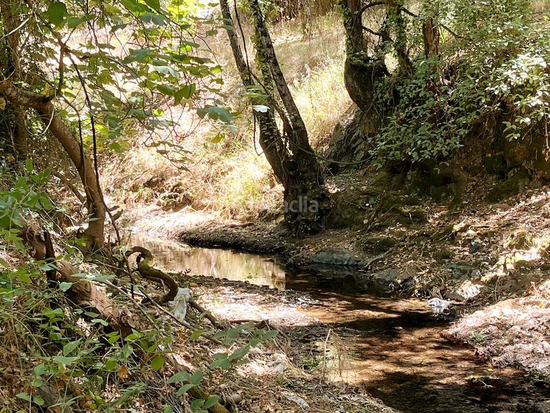 Foto 451915e8-1c4d-47a1-8e97-52cbe5ad5a52. Finca rústica a Linares de la Sierra