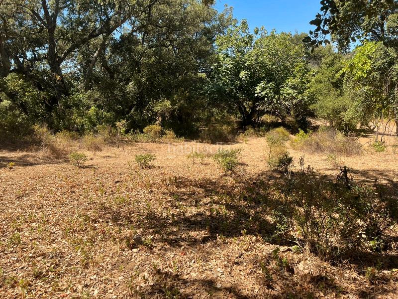 Foto 455f2cd4-a0e8-4c41-ae2c-19c6980e3475. Finca rústica a Linares de la Sierra