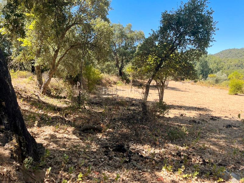 Foto 4846c187-54f2-4d8a-a3d8-b57626e95cf8. Finca rústica a Linares de la Sierra