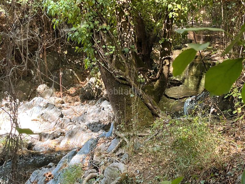 Foto 4c1dd730-1274-4900-9d8f-c6bfd4d8ecc5. Finca rústica a Linares de la Sierra