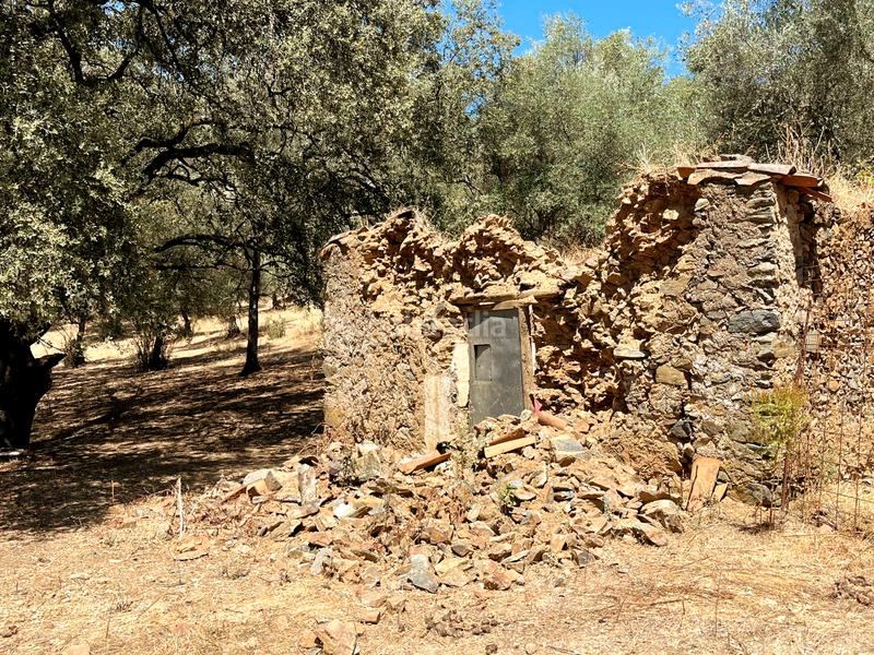 Foto 4dcbe9ea-59a3-456a-98e3-d2d13233de5d. Finca rústica a Linares de la Sierra