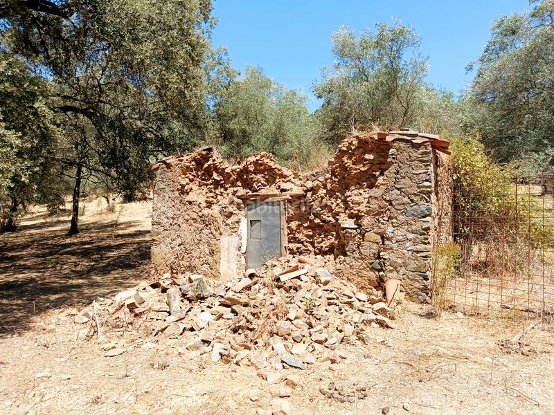 Foto 5fc3042f-164b-4667-87a2-3a44cf1eb578. Finca rústica a Linares de la Sierra