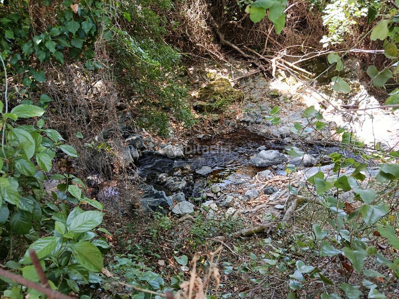 Foto 6320542b-bdc5-437a-890f-b30f31bdd43b. Finca rústica a Linares de la Sierra