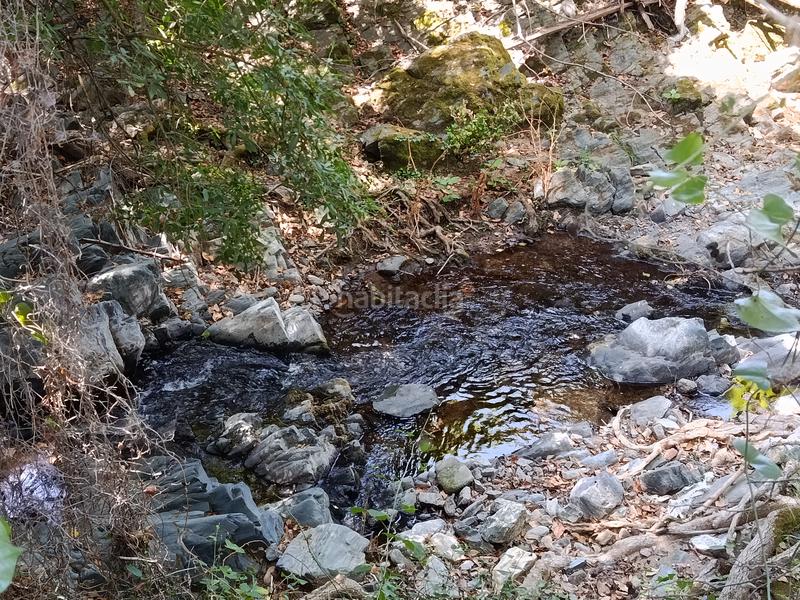 Foto 63b84232-849e-42f3-8efc-7f1274a1bbca. Finca rústica a Linares de la Sierra