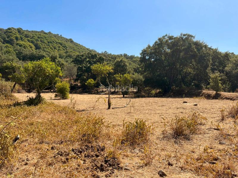 Foto 7e5c297b-4678-484a-80b7-6dad4d9e84cd. Finca rústica a Linares de la Sierra