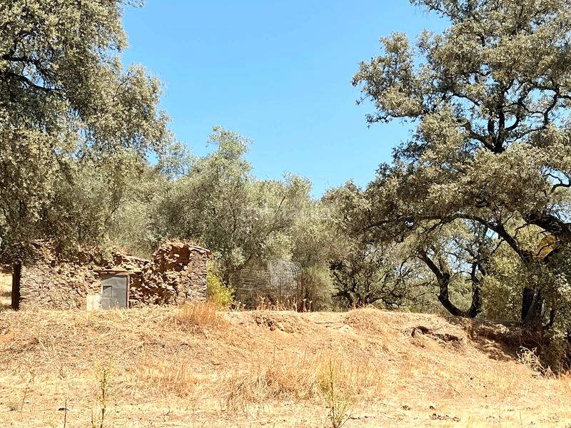 Foto 88f981ff-2383-42c0-aead-523495b1c1d9. Finca rústica a Linares de la Sierra