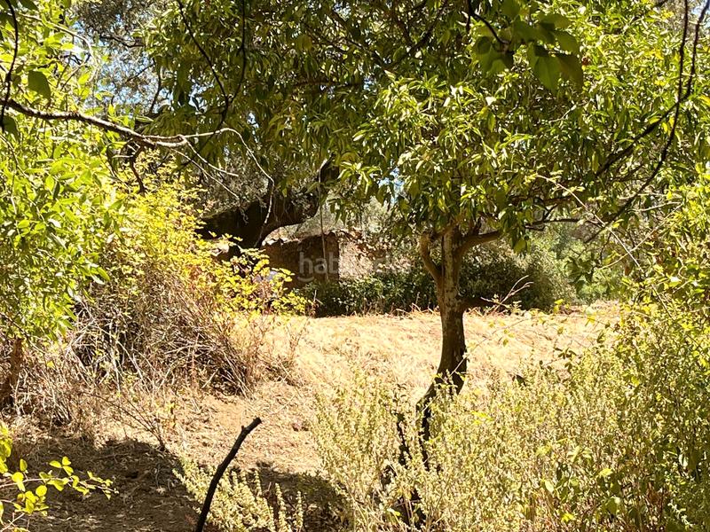 Foto 8db2f8dd-4f88-4f9f-9226-4854da70206e. Finca rústica a Linares de la Sierra