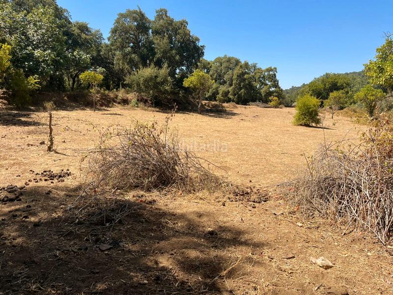 Foto a97cbf7b-a2f8-456e-aaf3-5f3ed47129aa. Finca rústica a Linares de la Sierra