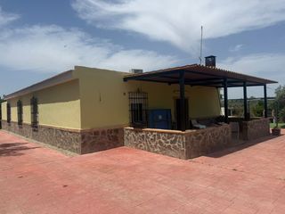 Masia  Camino de la juncosa #poligono 12 parcela 36. Finca rustica ideal para los amantes del caballo