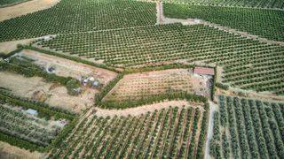 Rural plot  Poligono 5, parcela pedro espiga #polígono 5, par. Parcela rústica en venta