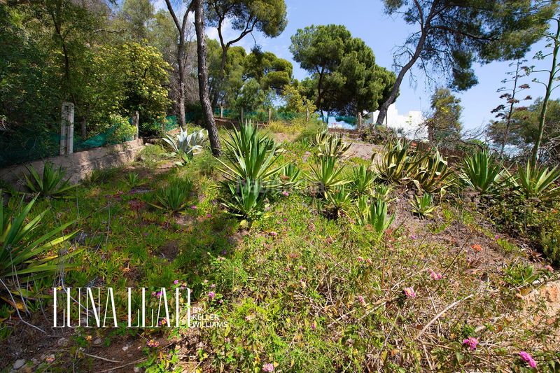 Foto fc7e9c2b-28c7-425d-8f72-eeeb06de459b. Casa amb aparcament a Bellamar Castelldefels