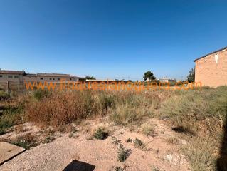 Terreny residencial a Bellcaire d´Urgell