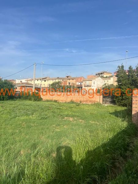 Foto e3ffc0b8-5fdc-4f8c-890f-0f0f75c43883. Terreny residencial a Menàrguens