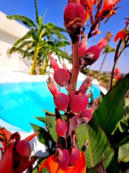 Foto 43f219c6-3cb5-406e-a649-4a1e87279852. Chalet con riscaldamento parcheggio piscina in Santos de Maimona (Los)