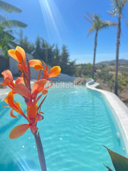 Foto 6074847c-9d92-4c22-950e-6b70d522ae1a. Chalet con riscaldamento parcheggio piscina in Santos de Maimona (Los)