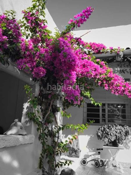 Foto 760f50da-dcb8-45fe-ad4c-f3468921d8f2. Chalet con riscaldamento parcheggio piscina in Santos de Maimona (Los)