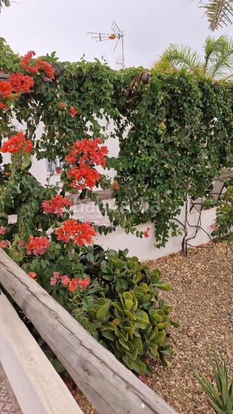 Foto d069a547-4131-4fc6-8f66-9965ea1c8b2f. Chalet con riscaldamento parcheggio piscina in Santos de Maimona (Los)