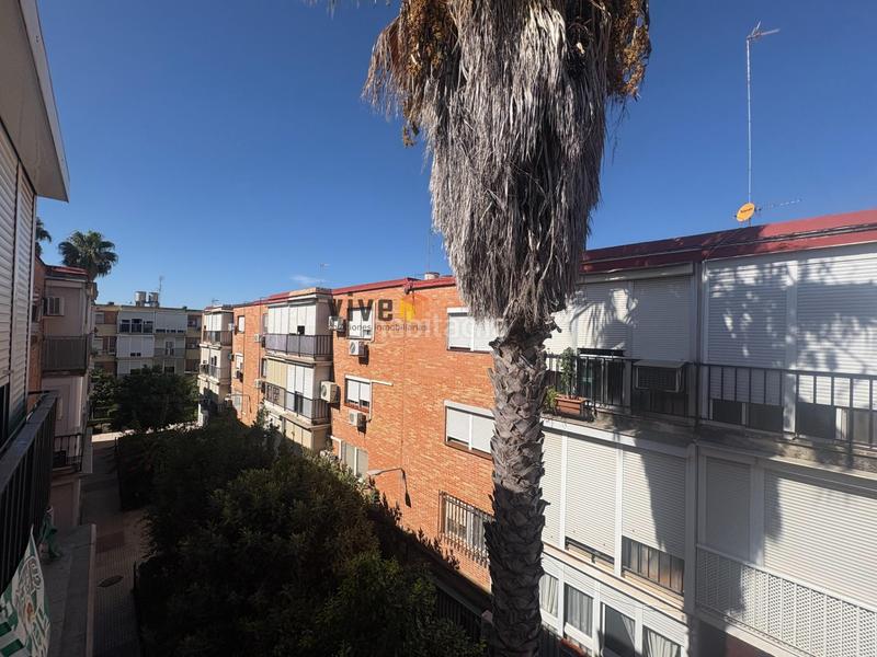 Foto 2e823ce9-f4cf-4f08-a227-18259544c809. Piso oportunidad de inversion, piso en barriada la cooperativa, san juan alto en San Juan de Aznalfarache