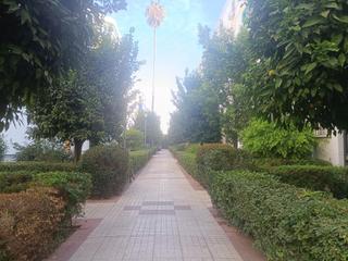 Location Appartement à Cruz Roja. Vivienda en alquiler  barriada nuestra señora del amparo