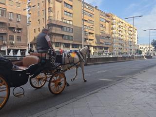 Locale commerciale in Arenal - Museo
