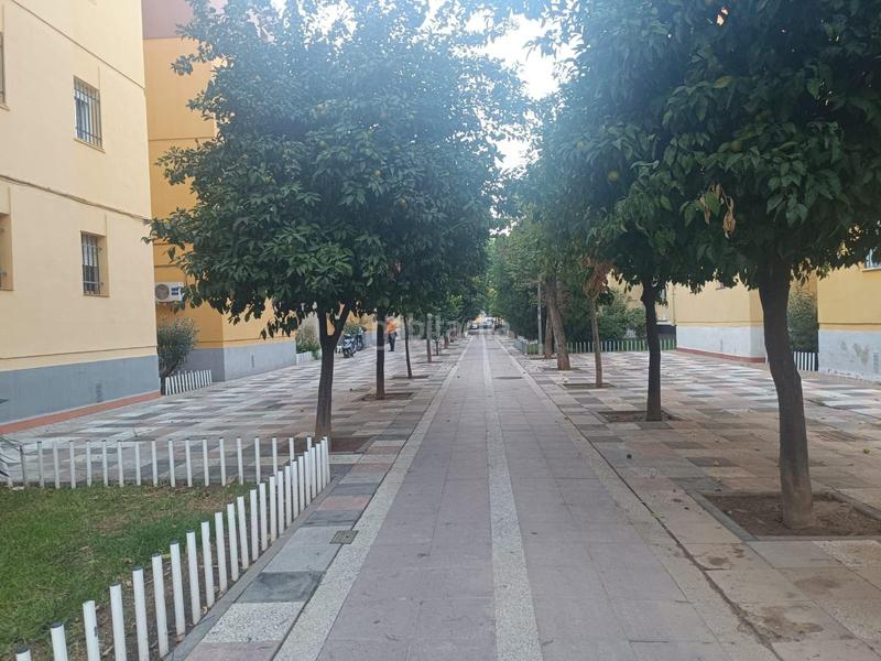 Foto 6f4668a3-130c-4849-9589-bfb1d06bb568. Appartamento in Pino Montano - Consolación Sevilla