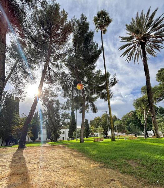 Foto 5756af4d-9021-4e9f-b8a4-2fc46f2efbcf. Casa aparellada amb calefacció a Las Almenas Tomares