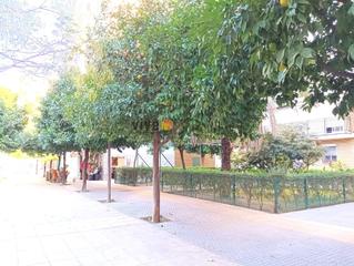 Pis  Calle abril. Vivienda en calle abril muy luminosa