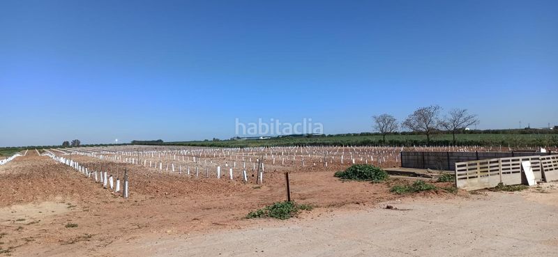 Foto 1baf4dfd-efd2-4c85-9a08-9672b800df46. Finca rústica a Fuentes de Andalucía