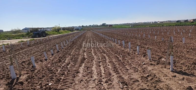 Foto 3ad8ac51-4a18-4784-beb0-3516da462723. Finca rústica a Fuentes de Andalucía