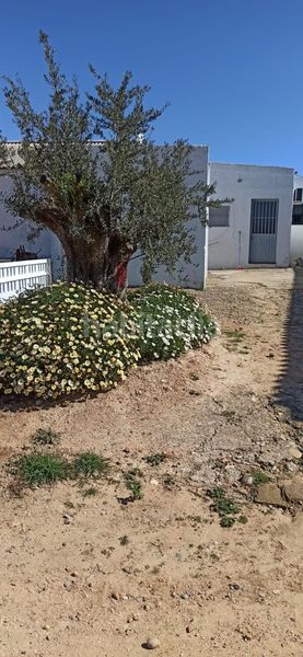 Foto 41325d41-c3fa-4459-a1fc-e4dbbb195e6e. Finca rústica a Fuentes de Andalucía