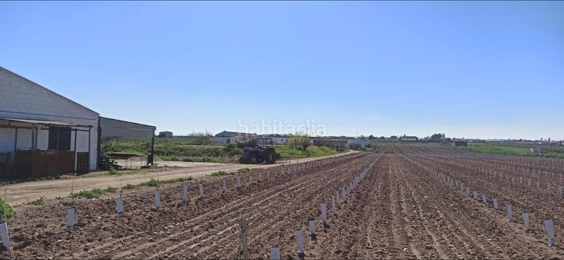 Foto 9bf587f0-3f8c-4b84-8837-ca255c5e049d. Finca rústica a Fuentes de Andalucía