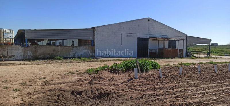 Foto c4472439-a02c-4e2c-9a56-9172e613b8cf. Finca rústica a Fuentes de Andalucía