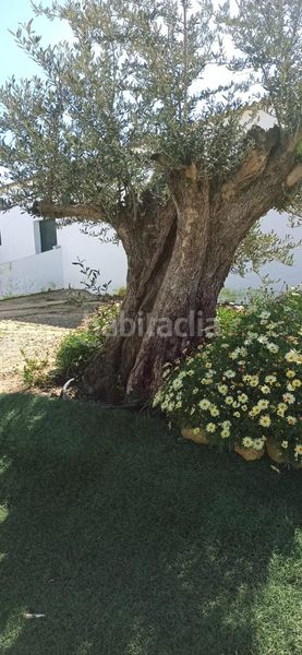 Foto f558cf62-7c55-418b-9fd7-07825deef769. Finca rústica a Fuentes de Andalucía
