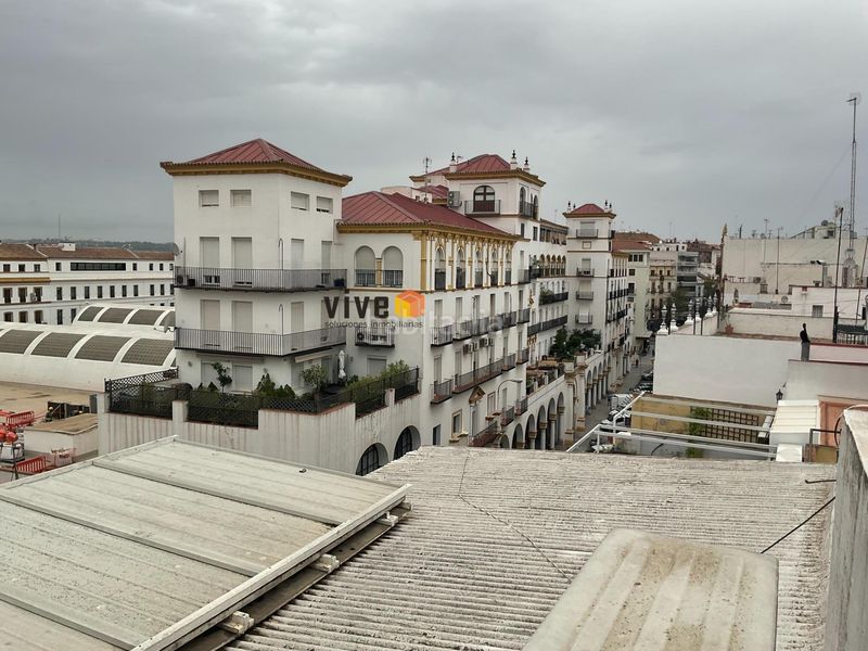 Foto 5b6fc8e1-91ad-480c-90ec-a816a234bde9. Pis amb calefacció aparcament a Arenal - Museo Sevilla