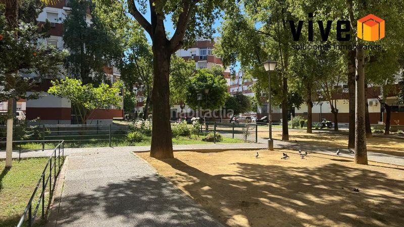 Foto 66faa954-b5c5-4636-962c-c6934a2538ed. Pis a La Oliva Sevilla